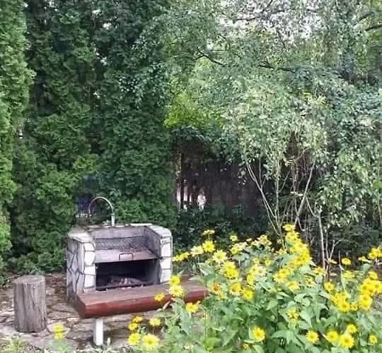 Balaton Σίοφοκ